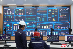 锚定一流盐化企业方针雪天盐业获省长质量